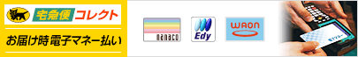 電子マネー払い